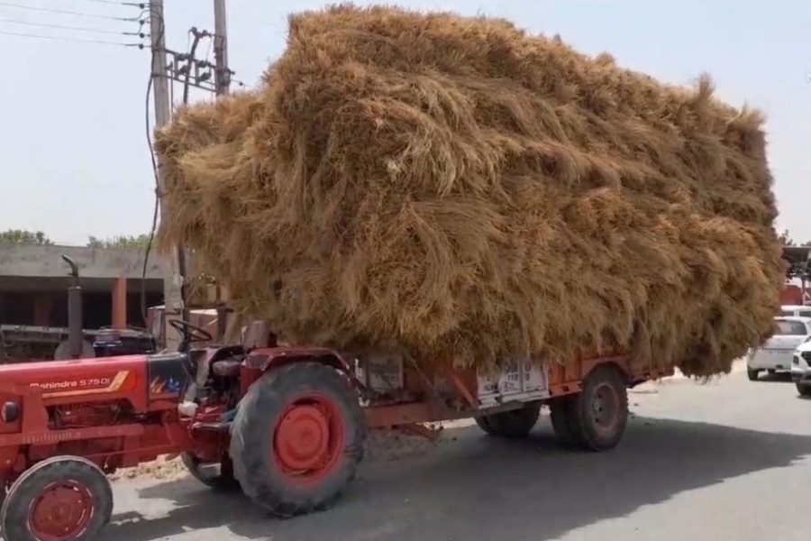 Police guard on fodder in Haryana