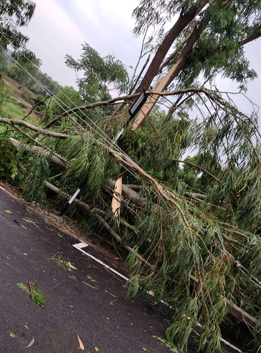 Rain-related Incidents in Bengaluru