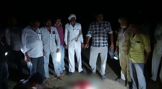 Lion kills five year old girl in front of her father at gujarat amreli  Lion kills five year old girl in front of her father at Kadaya  അച്ഛന്‍റെ കൺമുന്നിൽ വച്ച് അഞ്ചുവയസുകാരിയെ സിംഹം കൊലപ്പെടുത്തി  അംറേലി സിംഹം ആക്രമണം  അഞ്ചുവയസുകാരിയെ സിംഹം ആക്രമിച്ചു  ഗുജറാത്ത് അമ്രേലി കടയ വന്യജീവി ആക്രമണം