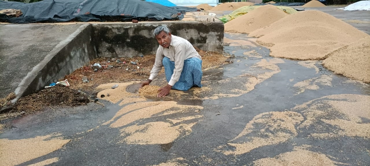 ನೀರುಪಾಲದ ಭತ್ತ