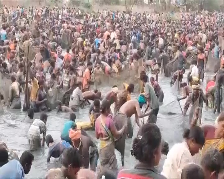 TAMIL NADU FISH FESTIVAL