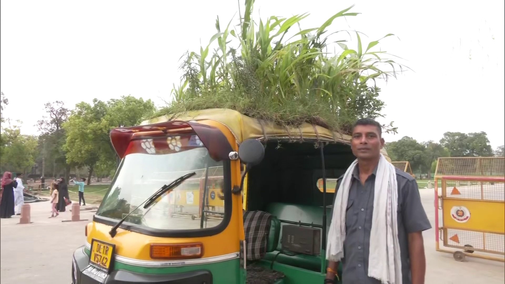 auto roof top garden