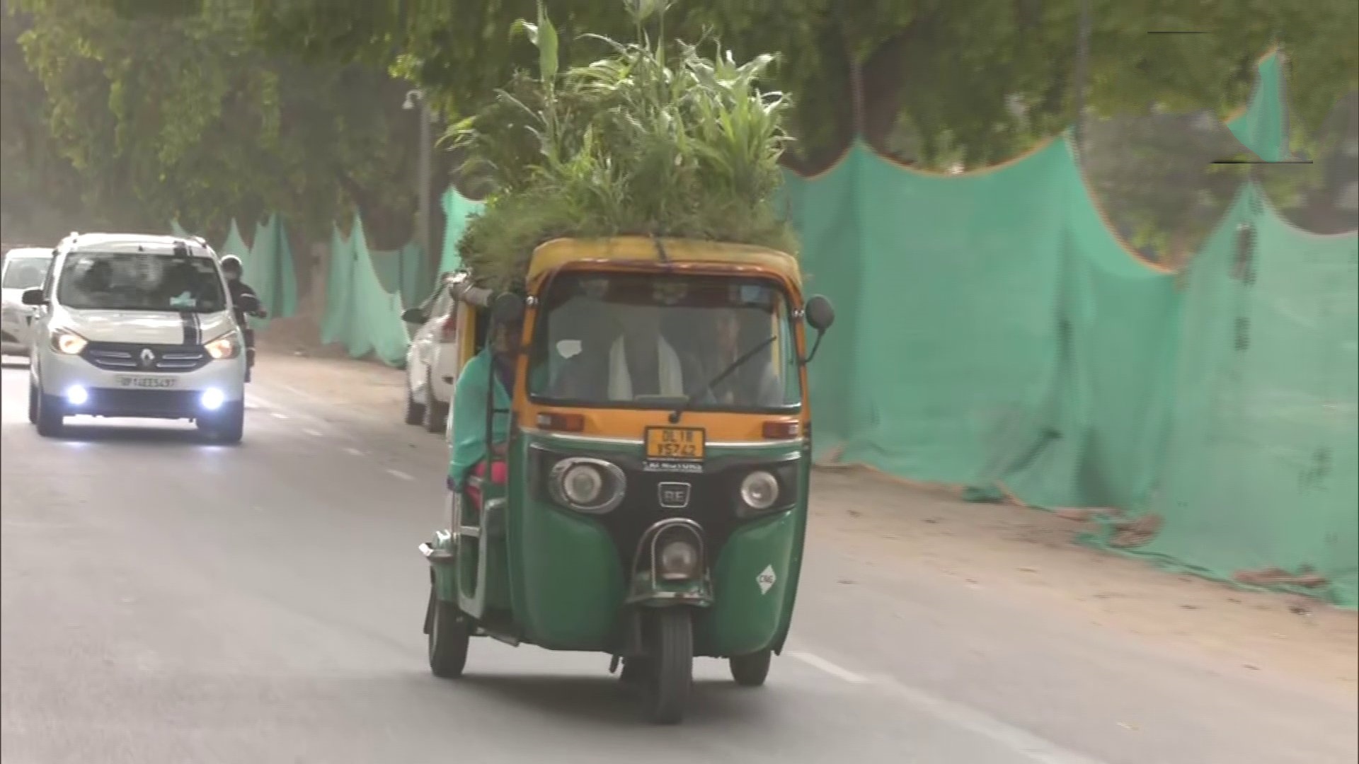 auto roof top garden