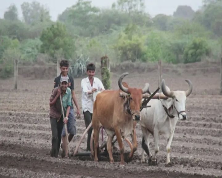 અખાત્રીજથી ખેડની શરુઆત થઇ જાય છે