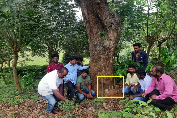 An idol of guliga god found near a tree in Chikmagalur