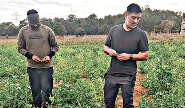 Dhoni Farming Bussiness