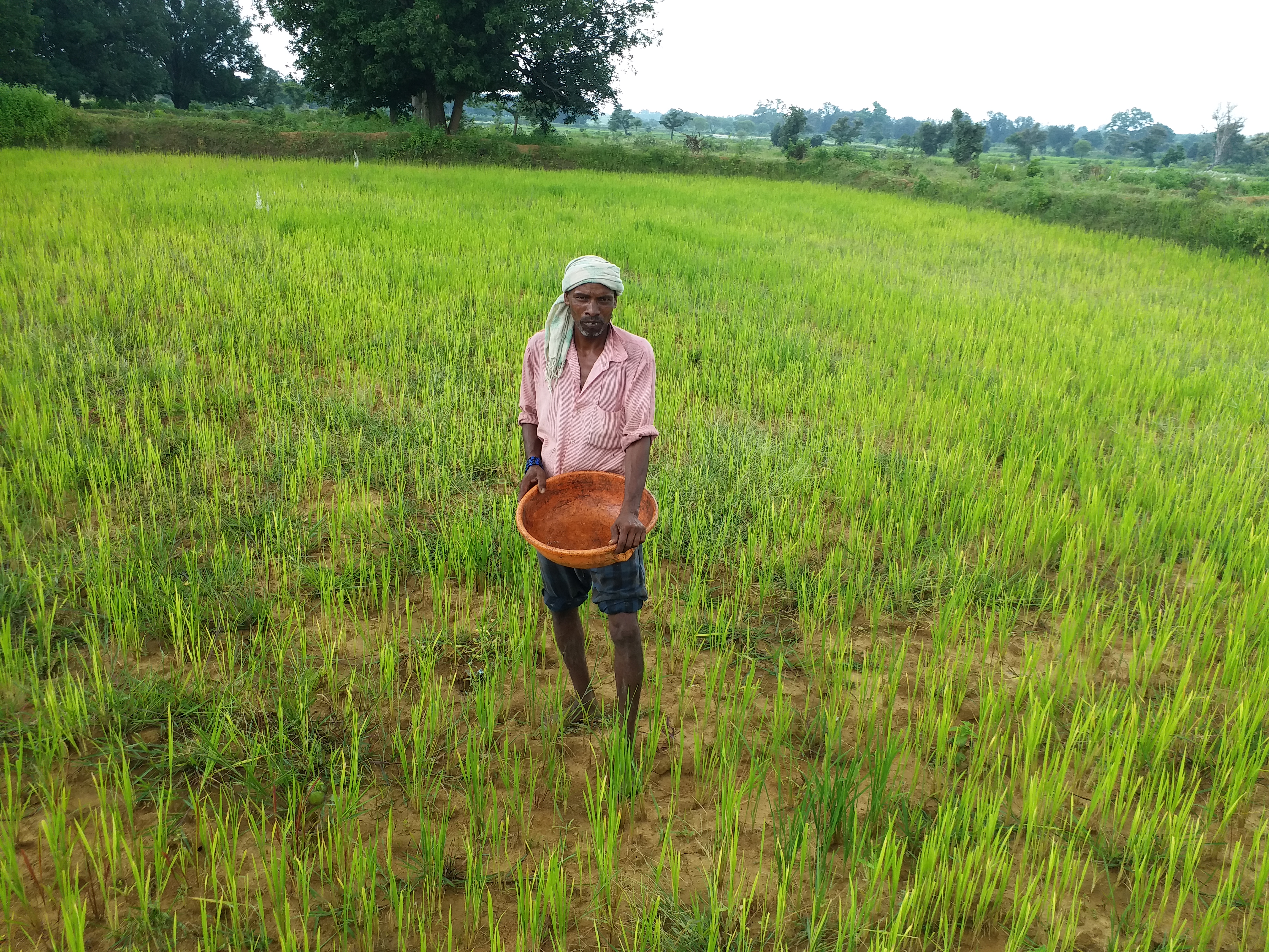 Preparation in MP for natural farming