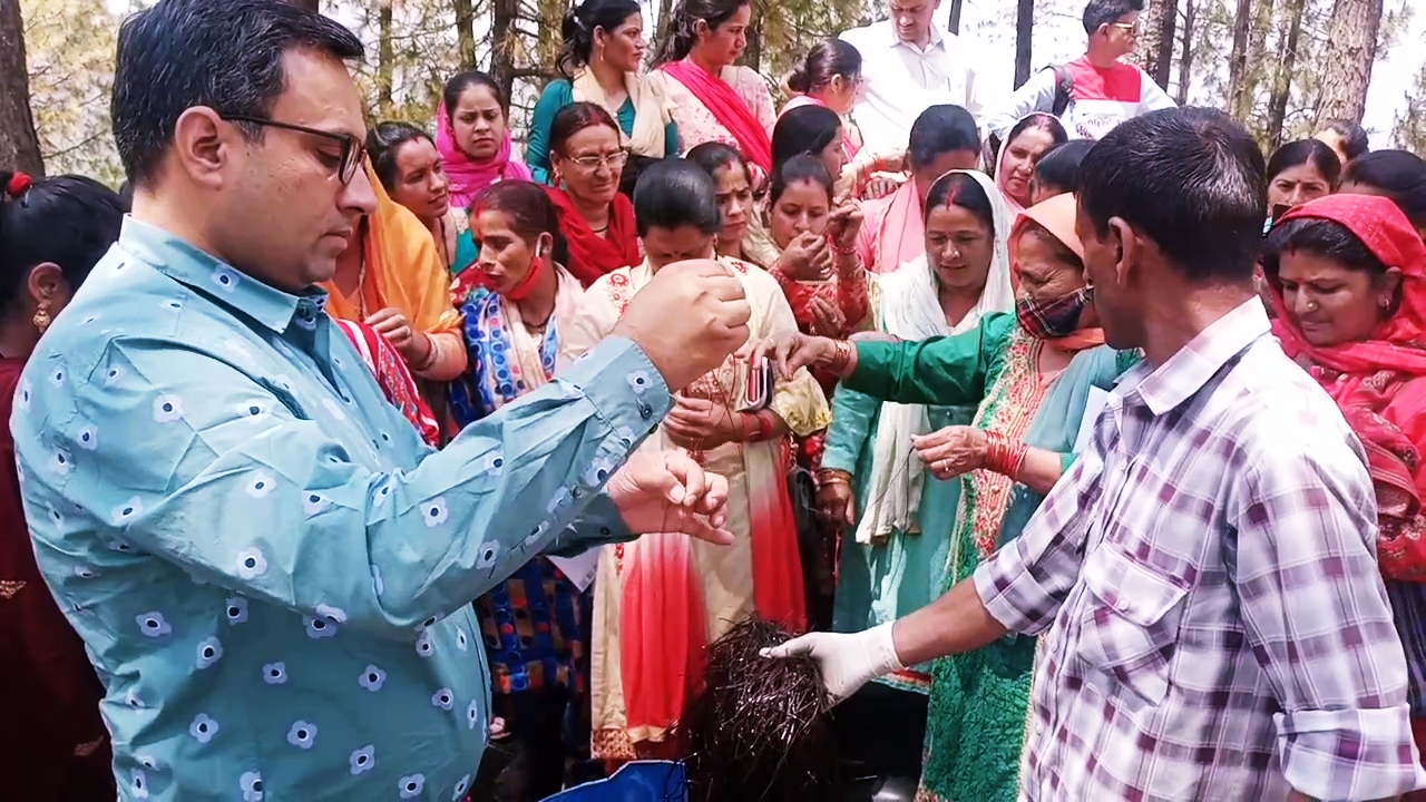 Women Self Help Groups in Sirmaur