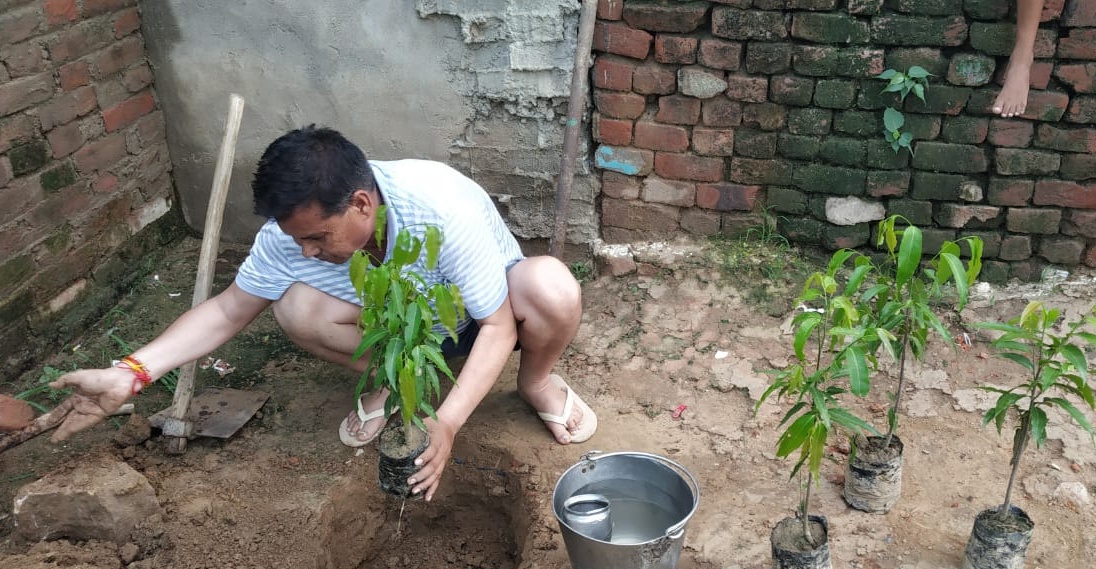 Sanjeev Barua planted three thousand saplings in a decade