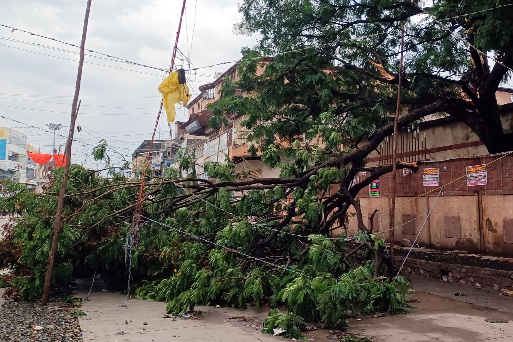 Rain related incidents near vijapur