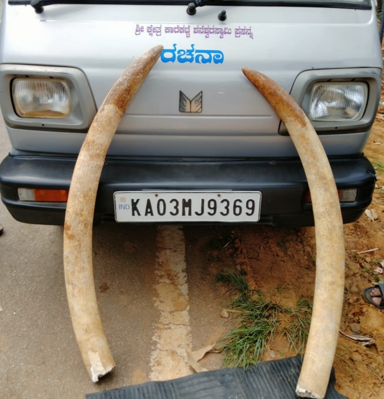 police-arrested-the-accused-who-tried-to-sale-the-elephant-ivory-in-chikkamagamalu