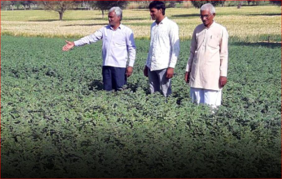 This farmer invented the technique of planting trees with 1 liter of water, planted thousands of trees