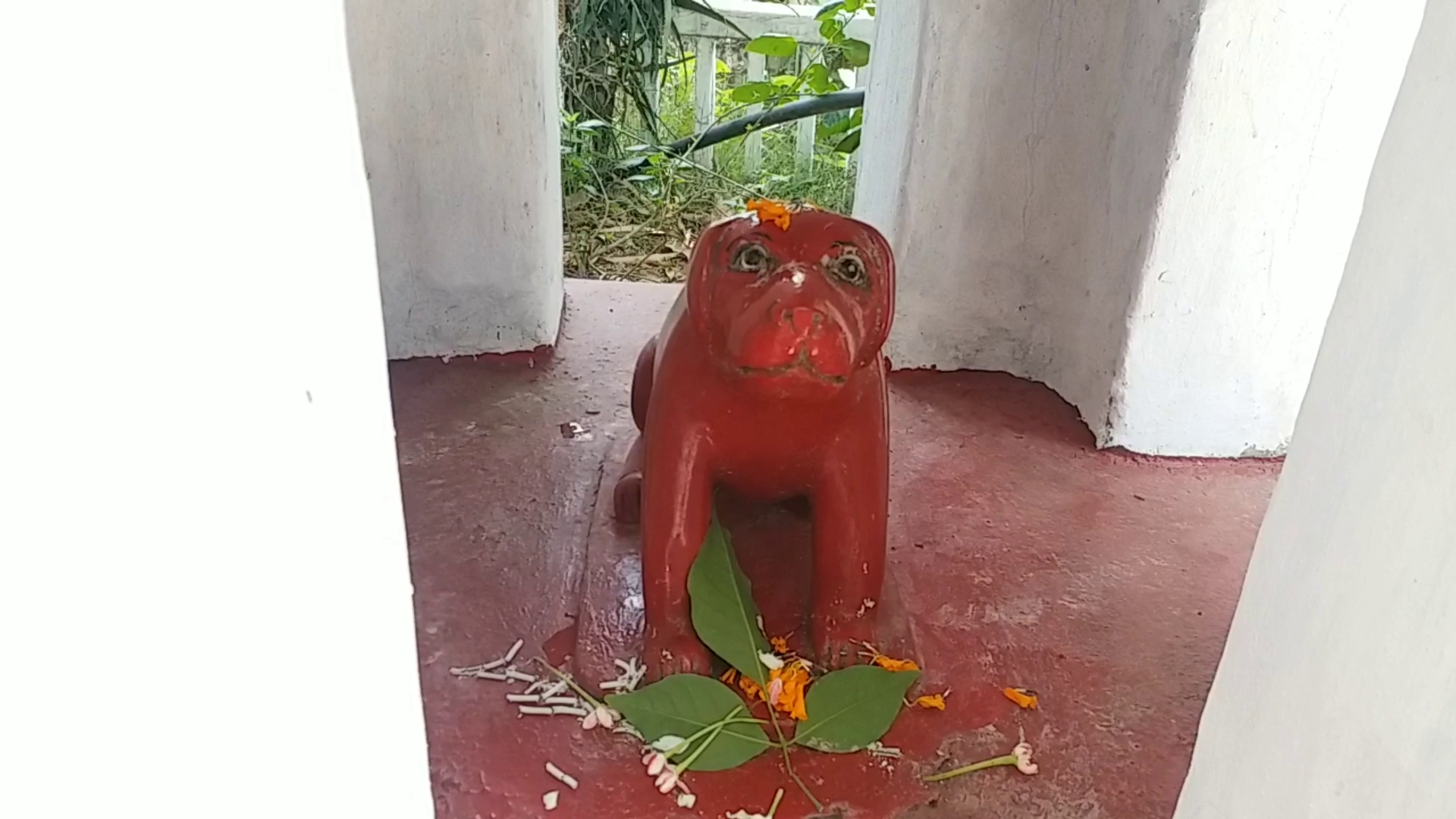 animals-allowed-to-worship-in-pagla-baba-temple-in-ranchi