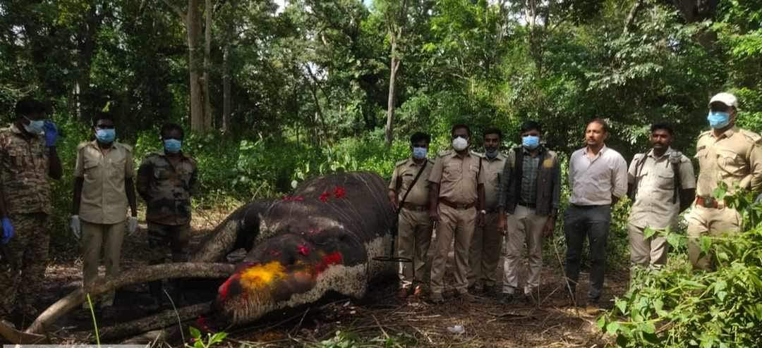 ”மிஸ்டர் கபினி” இறுதி புகைப்படம்