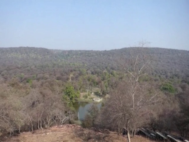 Mukundara Hills Tiger Reserve