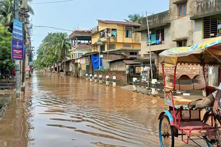 Assam Flood: ଉବୁଟୁବୁ ଆସାମ, ଗଲାଣି ୭୩ ଜୀବନ