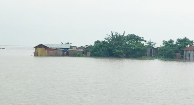 Assam Flood: ଉବୁଟୁବୁ ଆସାମ, ଗଲାଣି ୭୩ ଜୀବନ