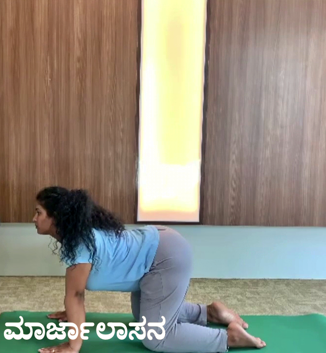 ಮಾರ್ಜಾಲಾಸನ