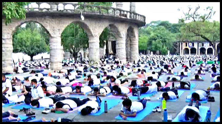 Yoga Day Celebrated In Rock Garden