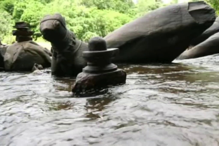 Nandi and Shivalinga in Sahasralinga