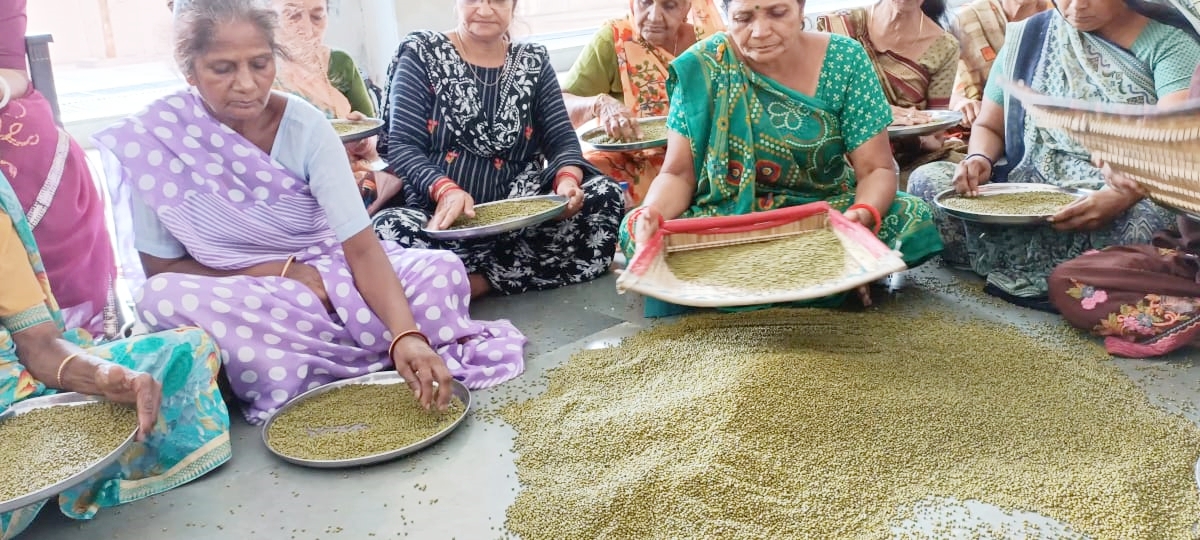 મંદિરમાં મગની સફાઈ શરૂ