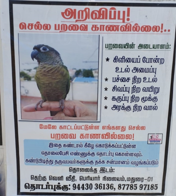 காணாமல் போன செல்ல பறவையை கண்டுபிடித்து தரக்கோரி போஸ்டர்