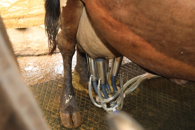 Solar powered milking machine