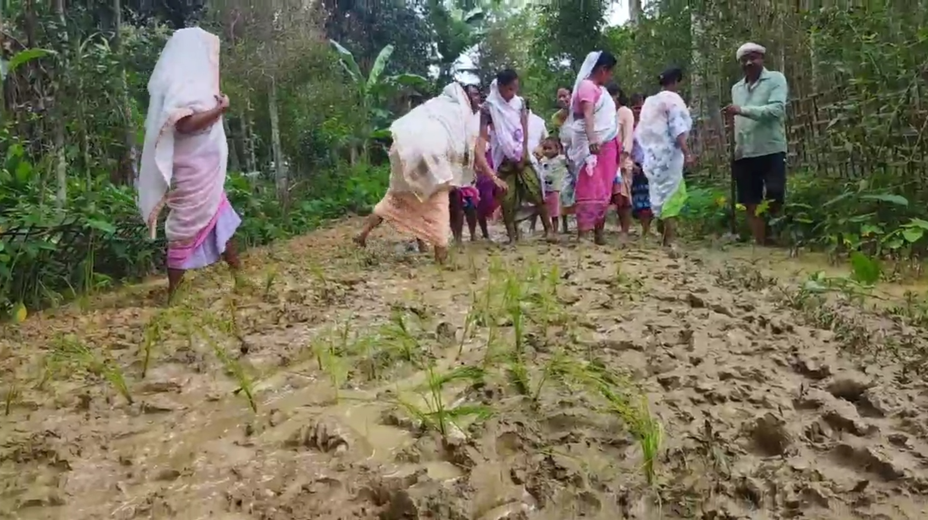 Local people Protest at Amguri to build the Road