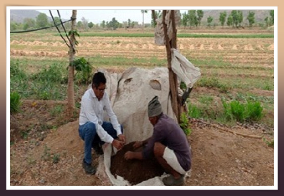 વૃક્ષો વાવ્યા