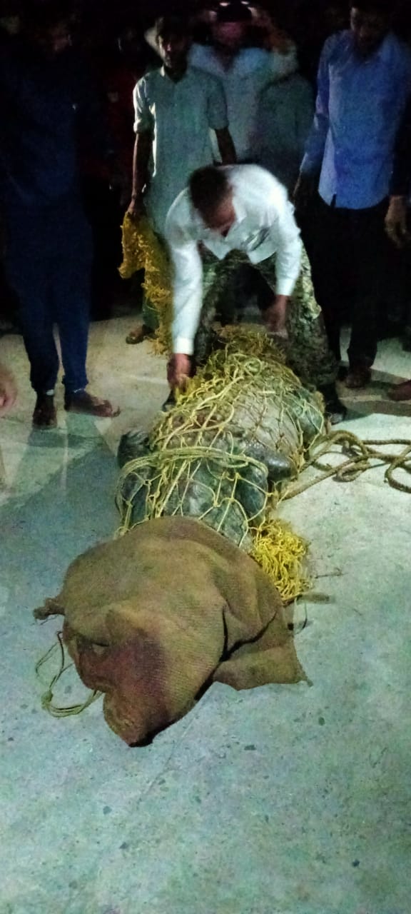crocodile killed child in Khatima