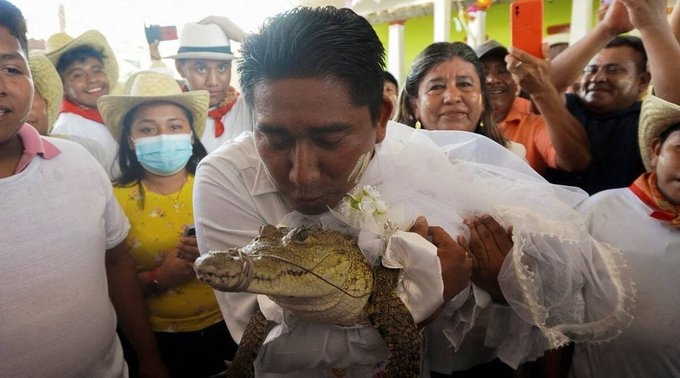 mayor marries alligator