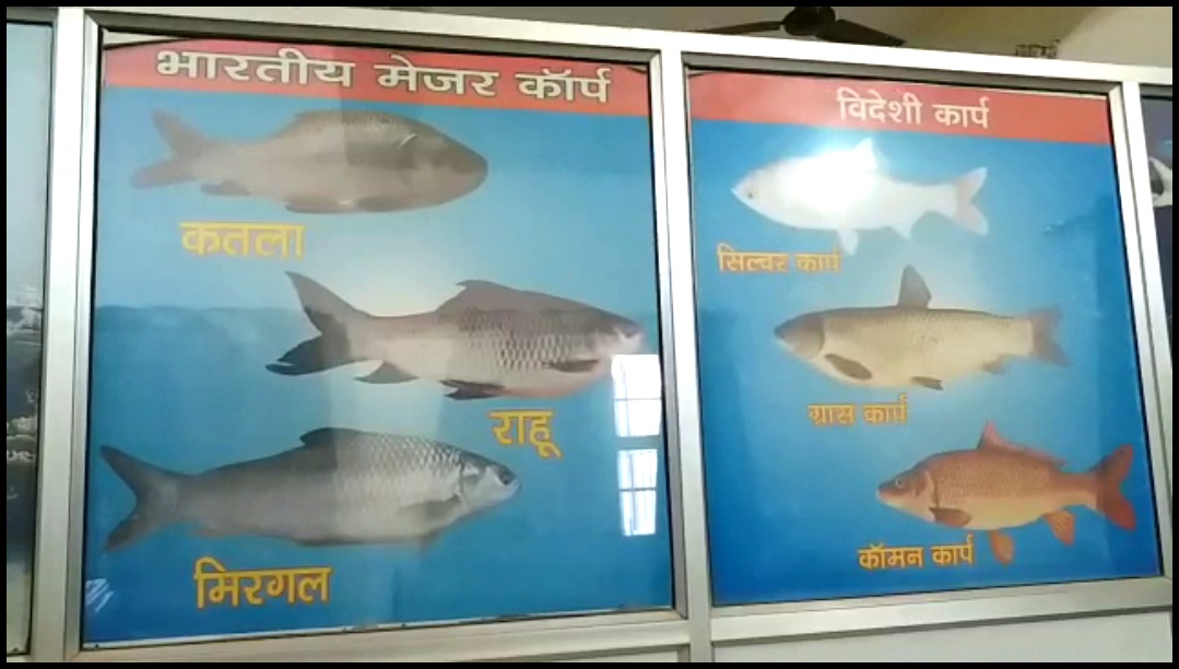 Fisheries in Panipat