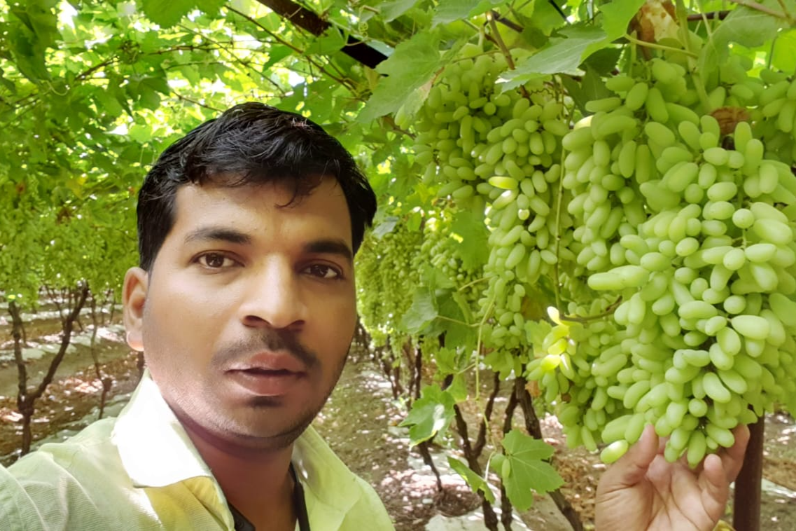 Foreign farming started in Ahmednagar district