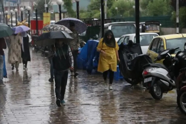 IMD issues heavy rain alert for Maha from July 6 to 8