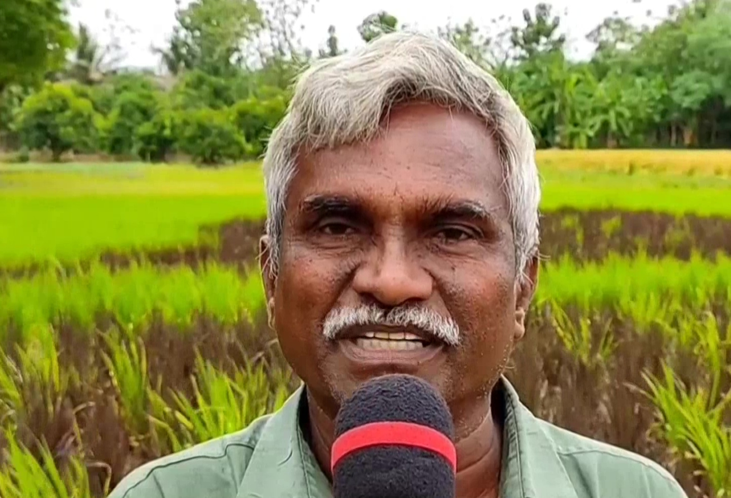 a farmer from Thanjavur's Malaiyappanallur sowed paddy in the image of Tamil poet Thiruvalluvar