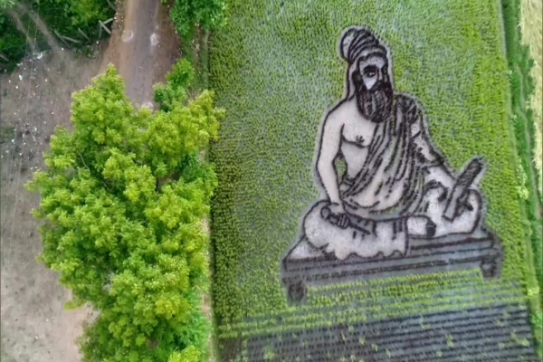 a farmer from Thanjavur's Malaiyappanallur sowed paddy in the image of Tamil poet Thiruvalluvar