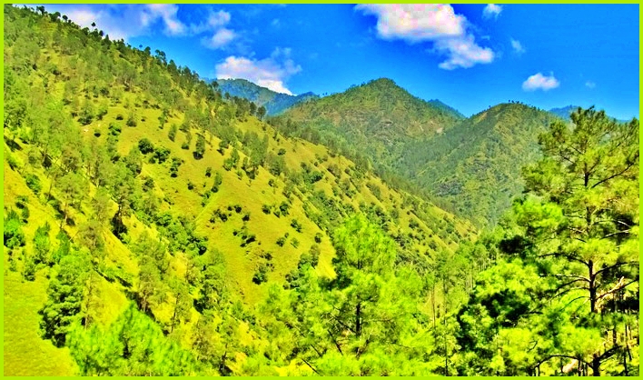 Forest cover in Himachal Pradesh