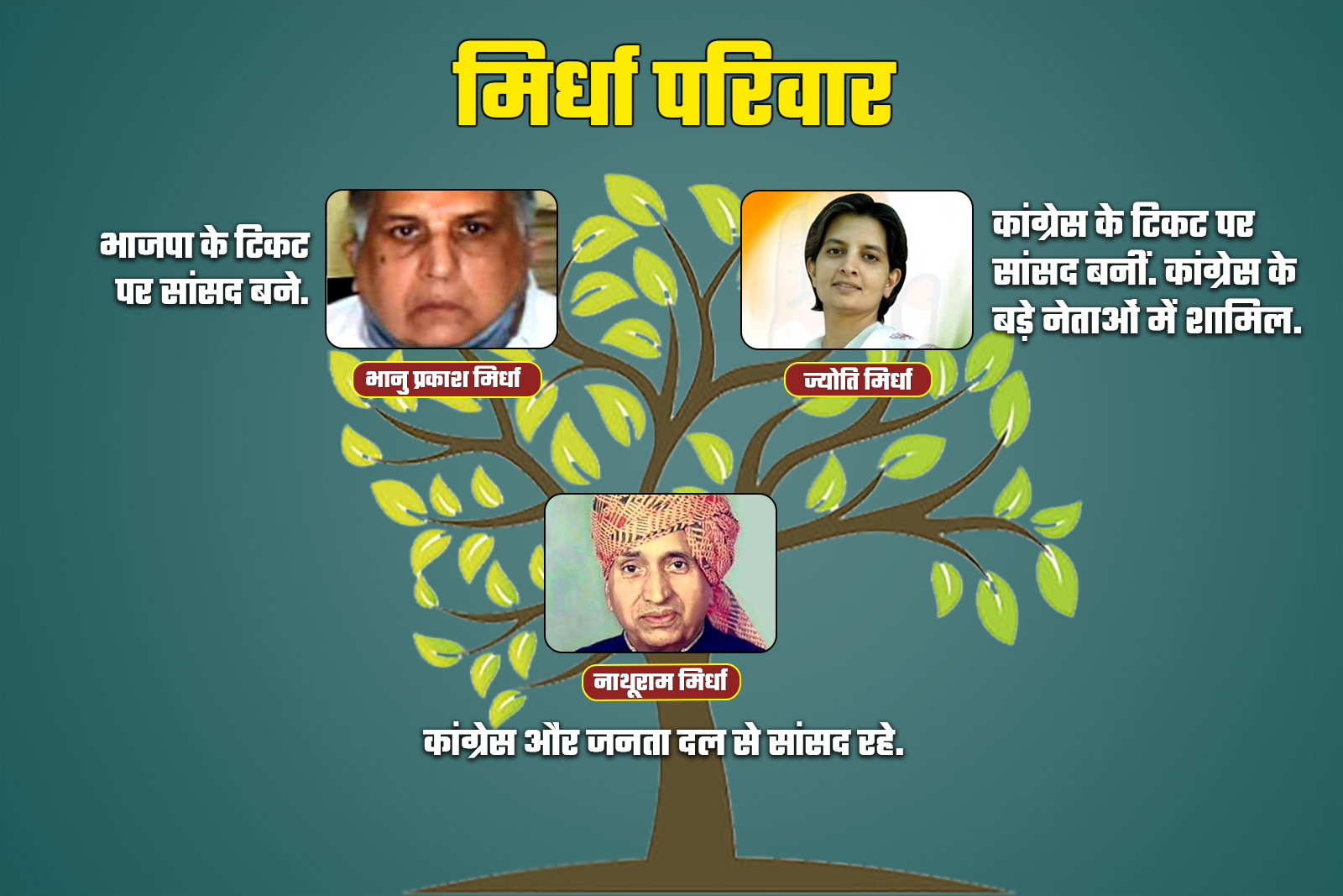 Political Dynasties in Rajasthan