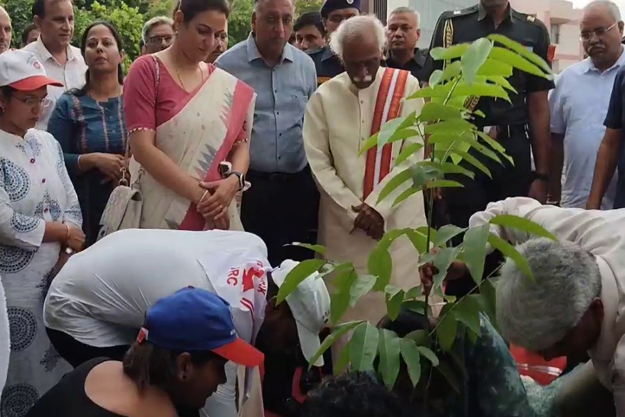 Tree Plantation Campaign of MDU Rohtak