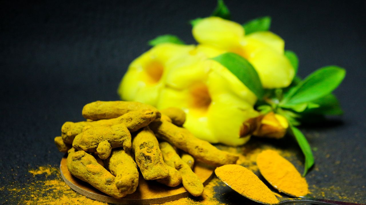 TYPES OF TURMERIC SPECIES IN AYURVEDA