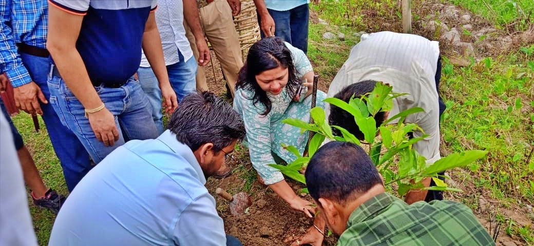 chief-ministers-institutional-plantation-programme-celebration-in-different-districts-of-assam