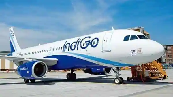 indigo