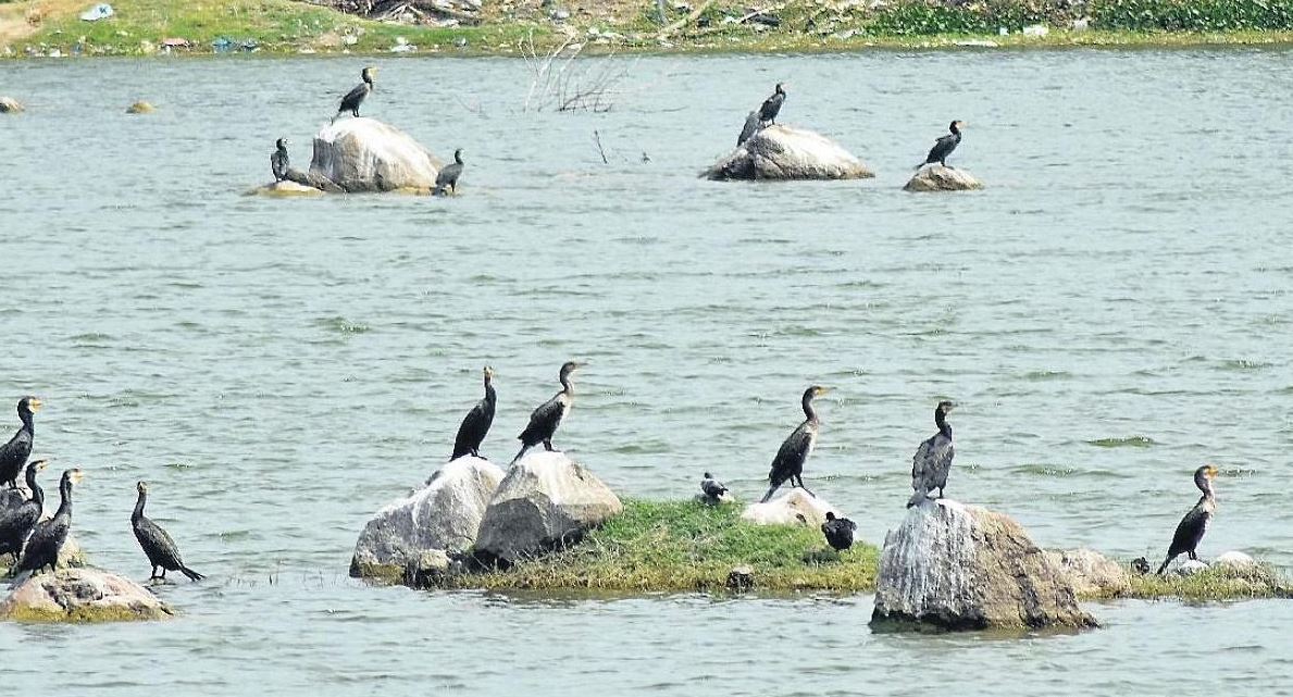 Five more Indian sites added to Ramsar list as wetlands of international importance