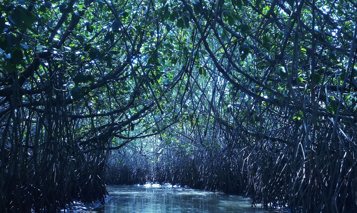 Ramsar list as wetlands of international