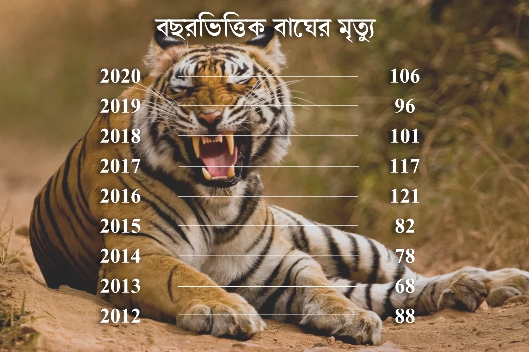 Tiger Count