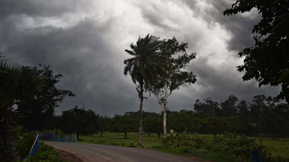 মাঘের শুরুতেই বৃষ্টি বঙ্গজুড়ে