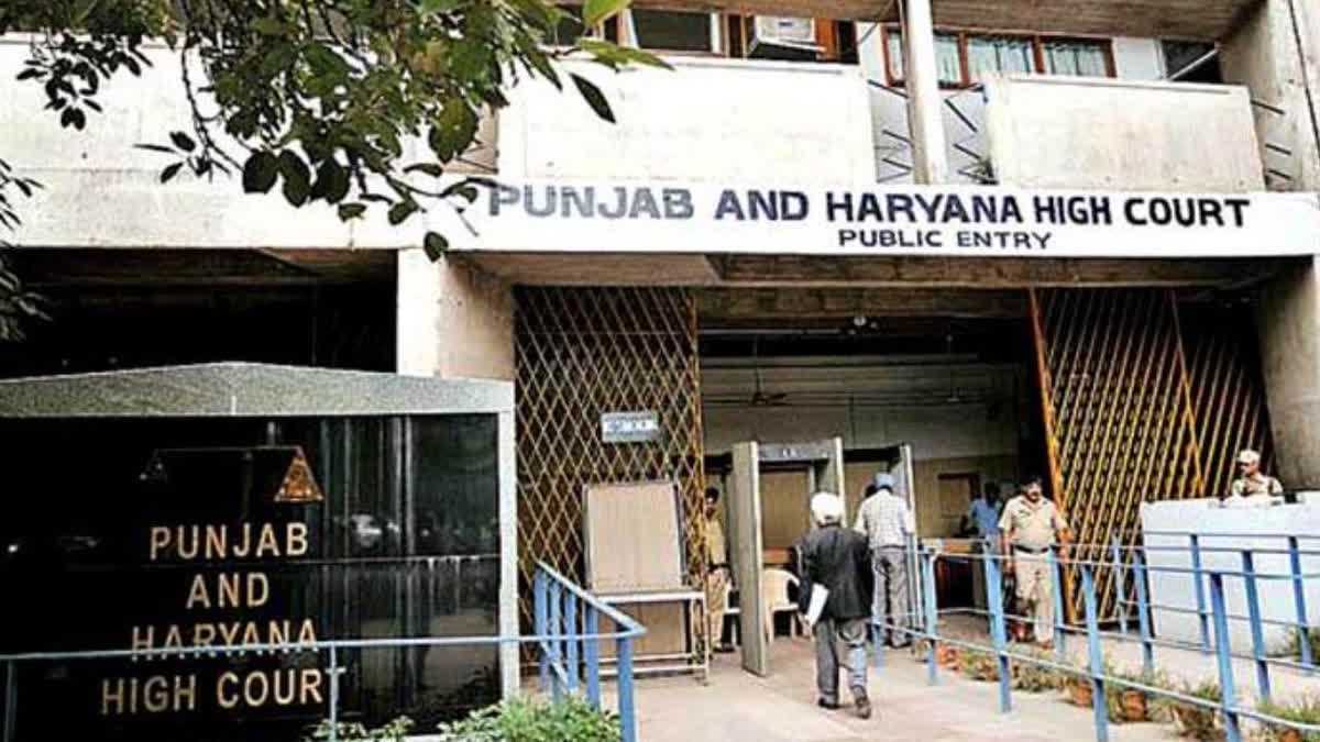 Punjab Haryana High Court