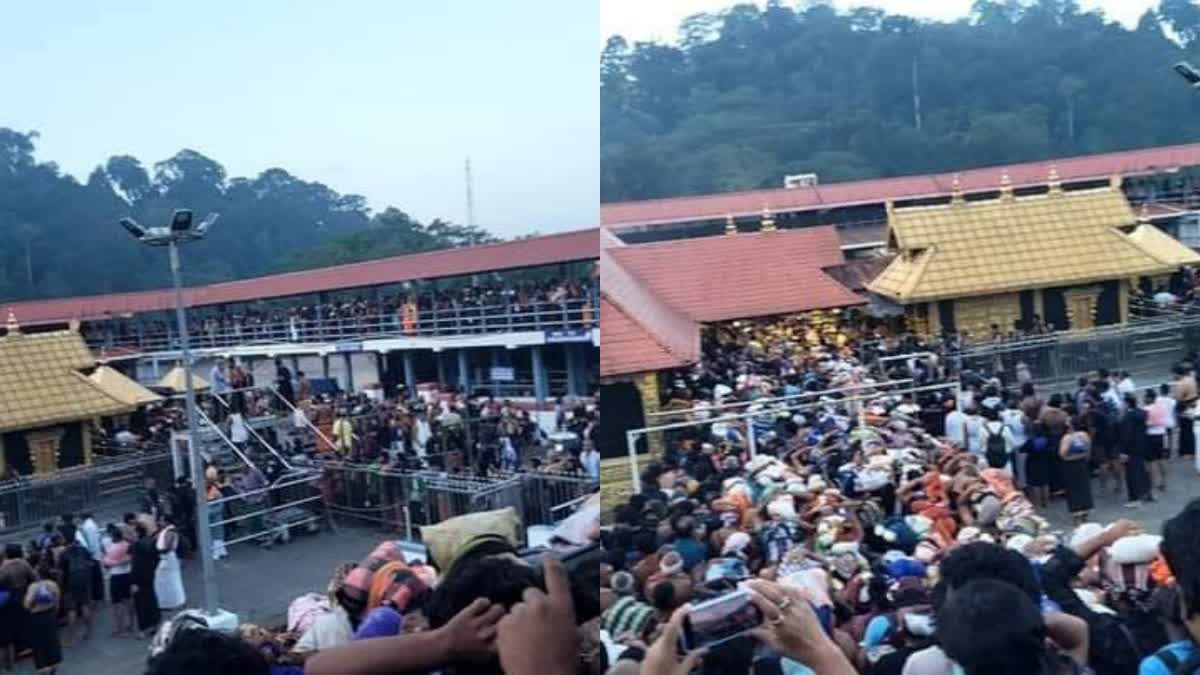 Sabarimala updates  sabarimala makaravilakku  ശബരിമല മകരവിളക്ക്  ശബരിമല തിരക്ക്