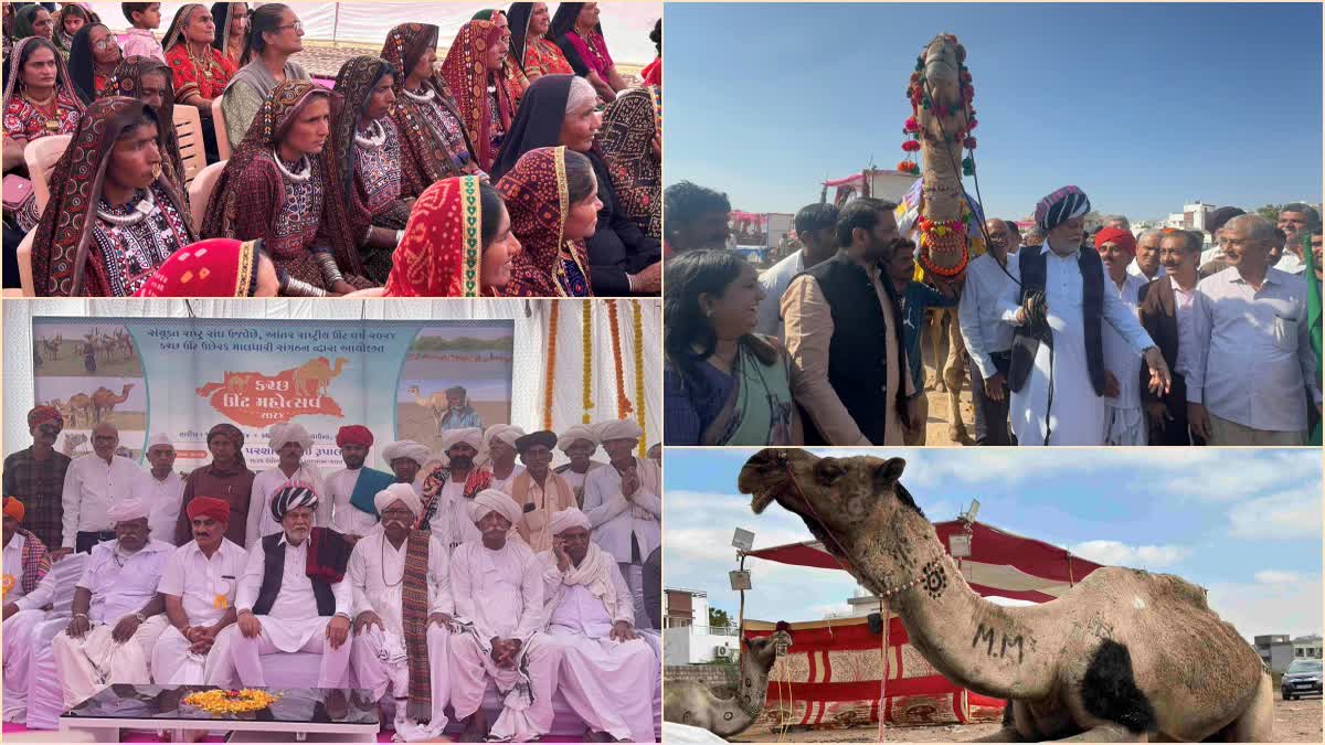 Camel Festival : માલધારી સંસ્કૃતિની ઝાંખી કરો, ભુજમાં કેન્દ્રીયપ્રધાન પરસોત્તમ રૂપાલાએ શરુ કરાવ્યો કચ્છ ઊંટ મહોત્સવ