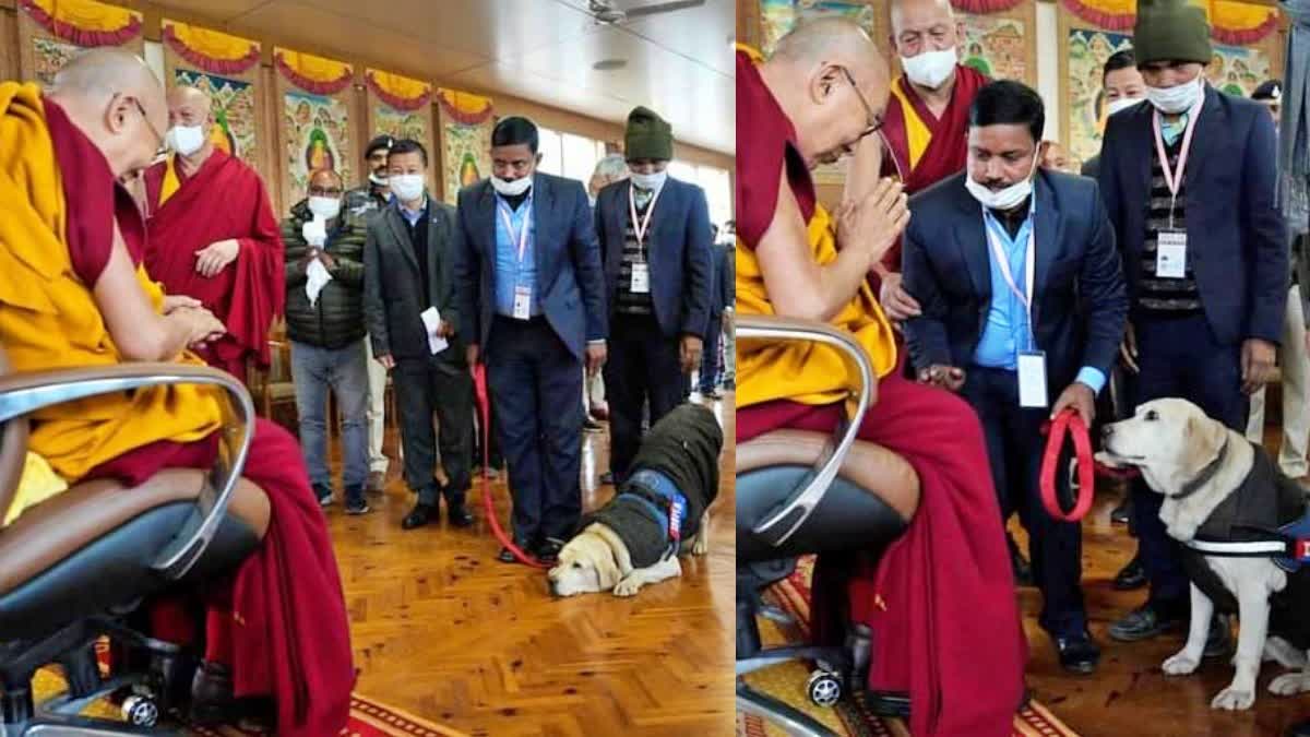 Dalai Lama Etv Bharat